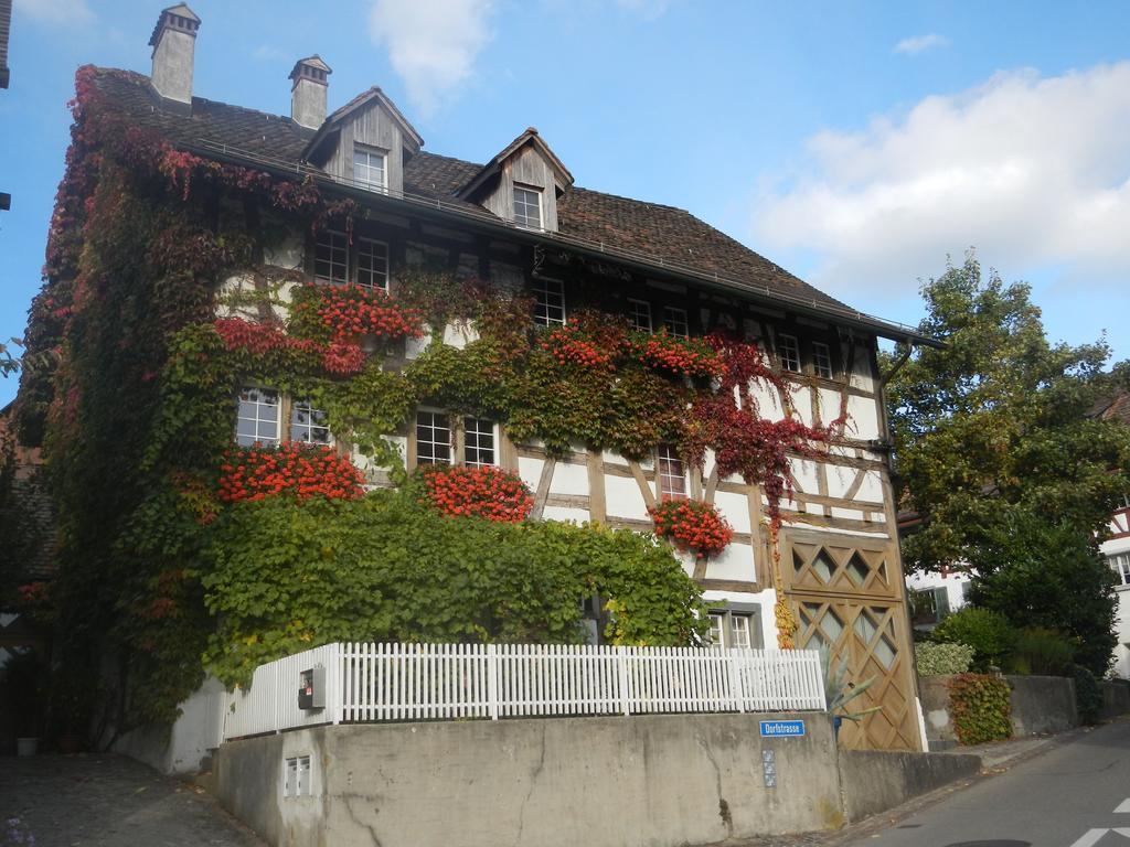 Guesthouse Les Mignardises Laufen-Uhwiesen Екстериор снимка